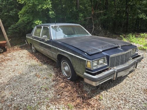 Lewis Auction